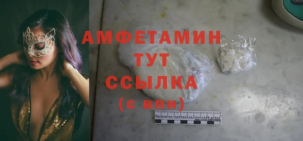 мет Алексин