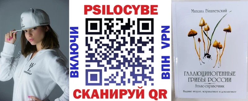 Псилоцибиновые грибы Psilocybine cubensis Кочубеевское